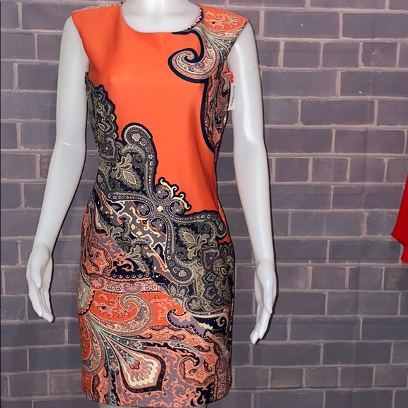 dressbarn Dresses & Skirts - established 1962 🔥